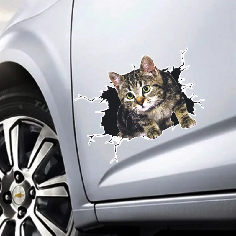 3D Simulation of Cute Cats Pee - Car Accessories On Amazon avaliação e preço