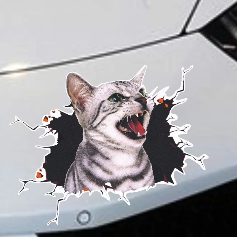 3D Simulation of Cute Cats Pee - Car Accessories On Amazon avaliação e preço