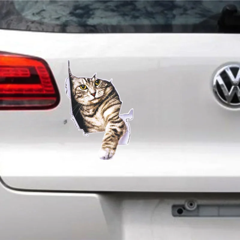 3D Simulation of Cute Cats Pee - Car Accessories On Amazon avaliação e preço